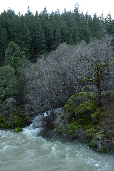 DSC_0943 (Large).JPG